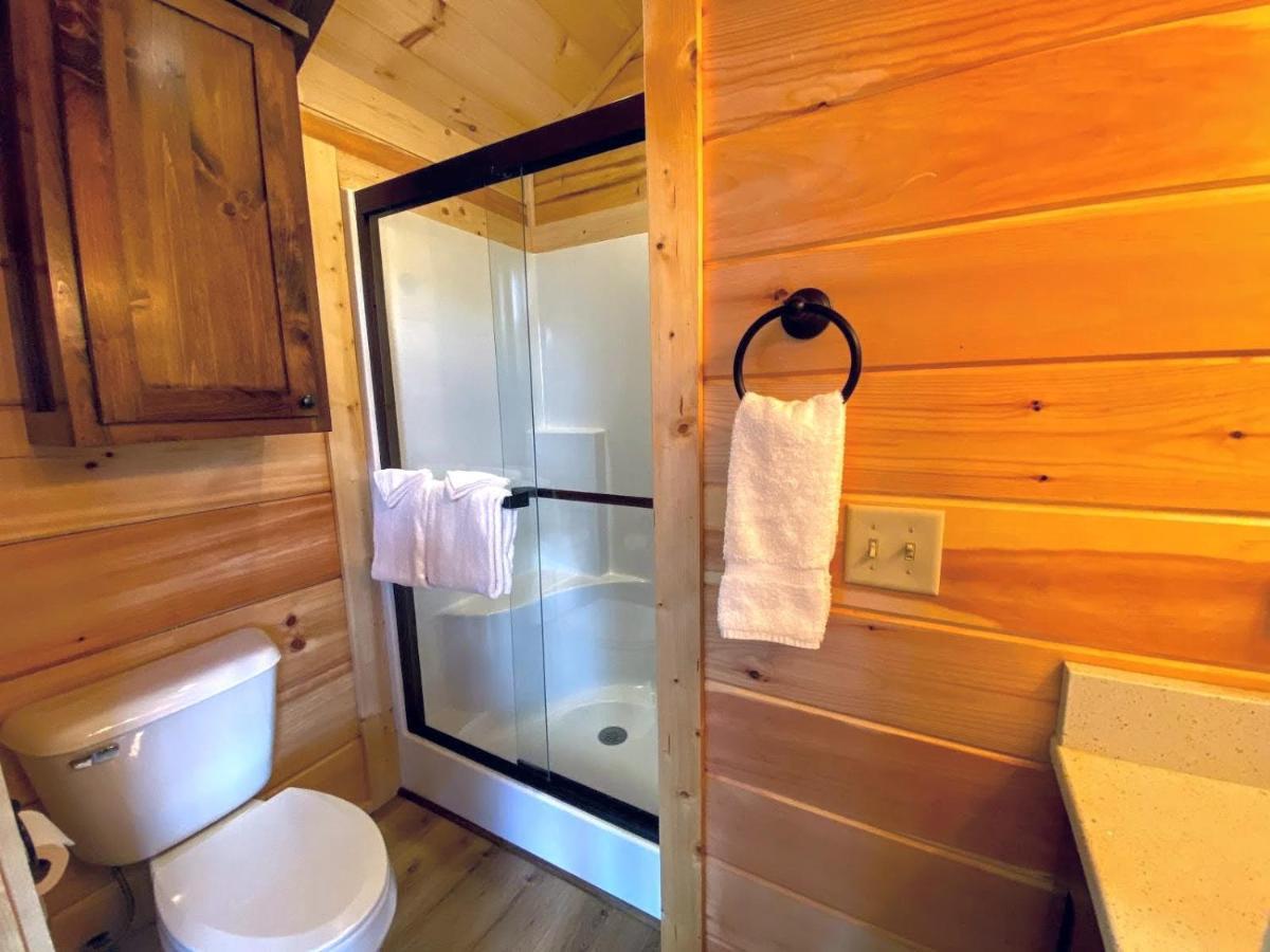 B3 New Awesome Tiny Home With Ac Mountain Views Minutes To Skiing Hiking Attractions Carroll Luaran gambar